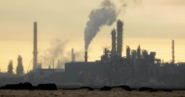 Sigara fabrikası ve petrol rafinerisi — Stok video