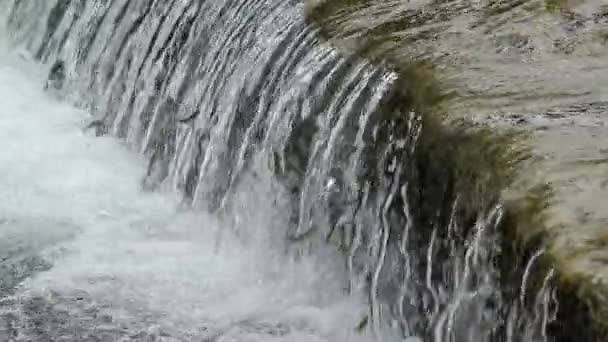 Water spetteren over een dam kleine vissen proberen op te springen — Stockvideo