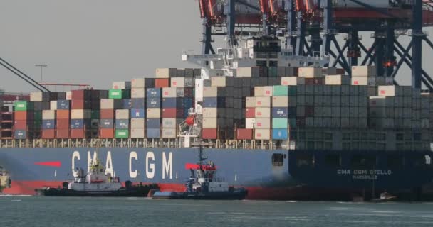 Bir gemide konteynırlar yükleniyor — Stok video