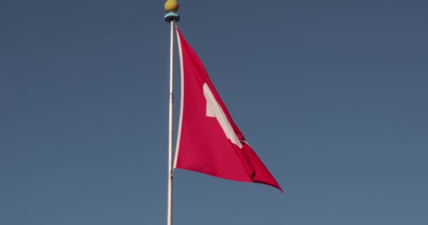 Bandeira nacional da Suíça — Vídeo de Stock