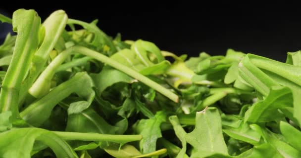 Čerstvé zelené salátové makro se sondou — Stock video