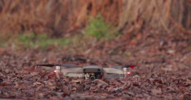 Drone blazen herfst bladeren bij het opstijgen — Stockvideo