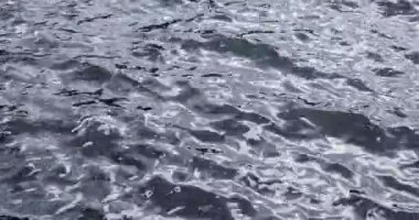 Dalgalanan Su Yüzeyi