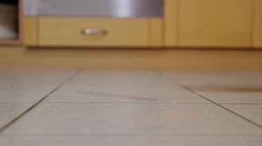 Gereksiz yiyecekleri dışarı atıyorlar.
