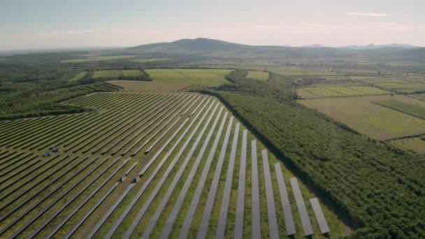 Panneau solaire parc centrale électrique — Video