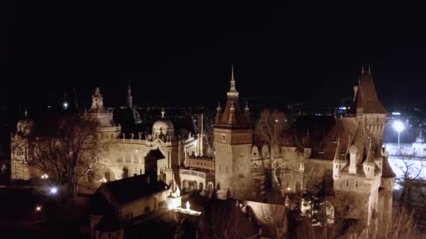 Utsikt över Vajdahunyads slott, Budapest — Stockvideo