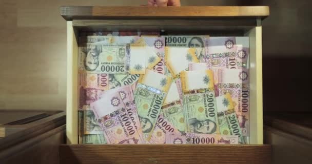 Banknotes Background, Hungarian Forints — Stock Video