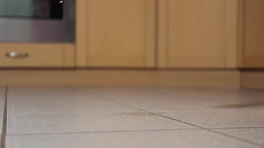 Su bardağı yere düştü.