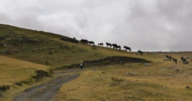 And Dağları 'nda yürüyorum