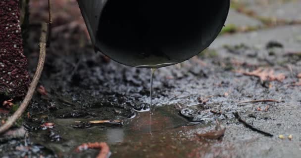 雨中街上的排水管 — 图库视频影像