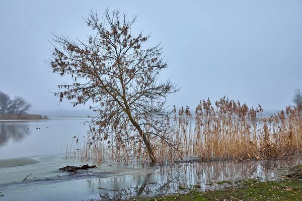 Misty autumn river landscape — Stock Photo, Image