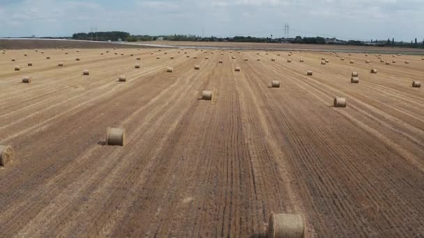 Campo agrícola con fardos — Vídeos de Stock