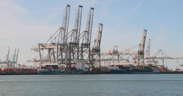Jízda lodí v průmyslovém doku — Stock video