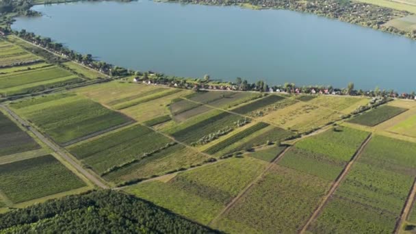 Paysage drone aérien, Lac Markaz — Video