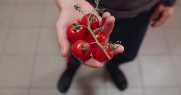 Segurando alguns tomates na mão — Vídeo de Stock