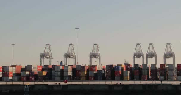 Причал промышленного контейнерного порта из воды — стоковое видео