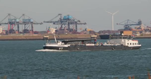 Vrachtschip in de Rotterdamse haven — Stockvideo