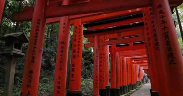 Fushimi Inari Taisha torii Tore — Stockvideo