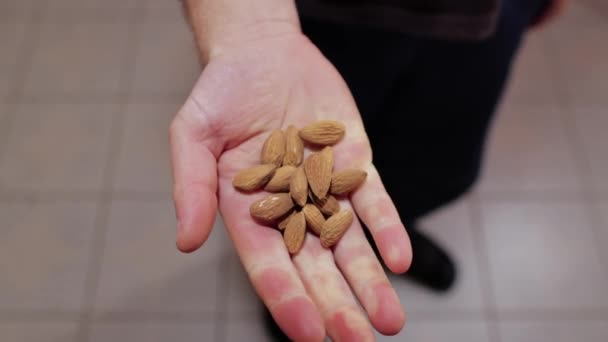 Tenant quelques amandes à la main — Video