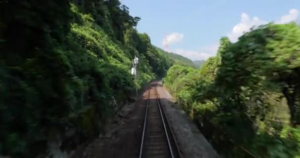 Viaggio in treno verso una piccola città giapponese — Video Stock