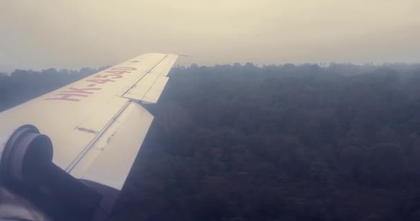 Voando avião pequeno perto da árvore no desembarque — Vídeo de Stock