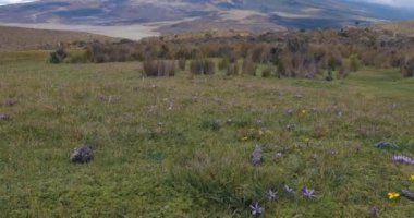 Bulutlar arasında Cotopaxi volkanı