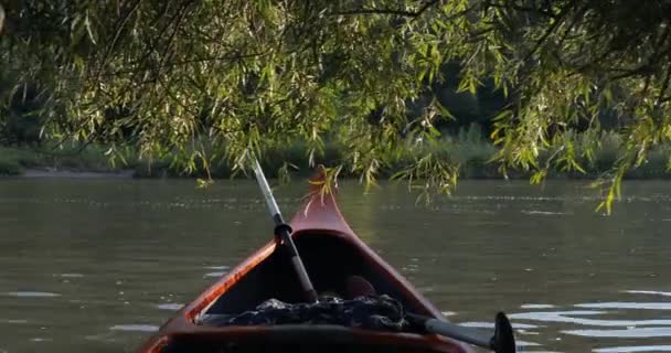 Kanot på en flod nedströms — Stockvideo