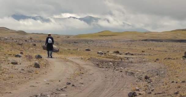 Caminando por el sendero en los Andes — Vídeos de Stock