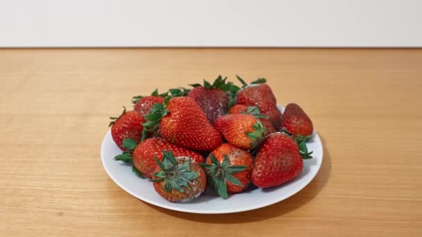 Strawberries rotting away in a pantry — Stock Video