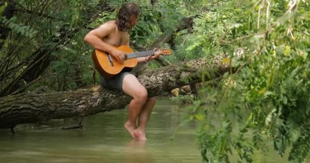 Grając na gitarze na drzewie nad rzeką — Wideo stockowe