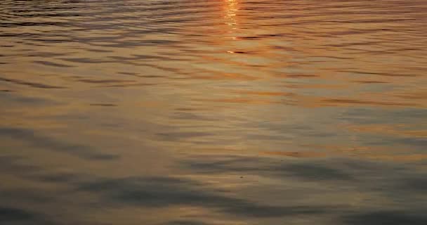 Coucher de soleil sur un lac calme, réflexion des vagues d'eau — Video
