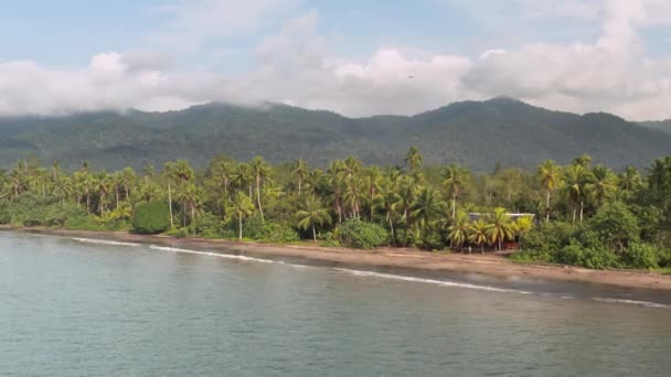 Costa do Pacífico com floresta tropical — Vídeo de Stock