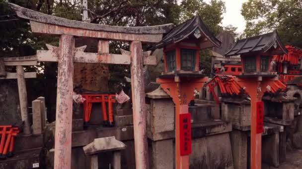 Fushimi Inari Taisha torii portões — Vídeo de Stock