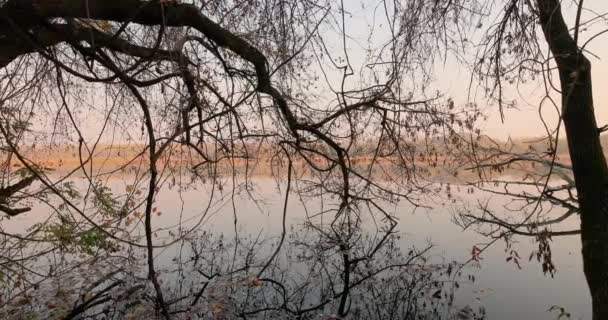 Tenang tepi danau alam musim gugur — Stok Video