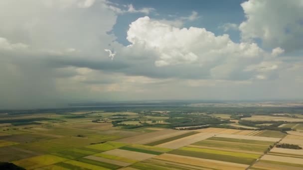 Вид с сельскохозяйственных полей с беспилотников — стоковое видео