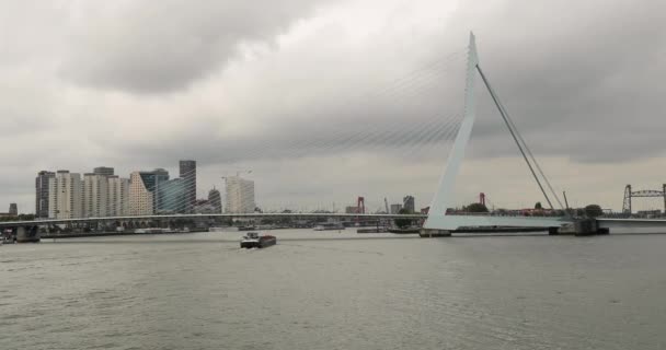 Rotterdam passeio de barco vista da cidade — Vídeo de Stock