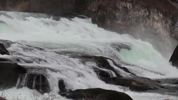 Cascade des chutes du Rhin en Suisse — Video
