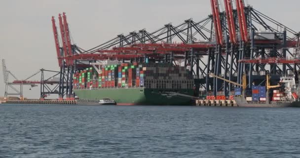 Lastcontainrar på ett fartyg — Stockvideo