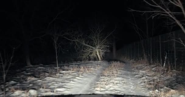 Dirigir na neve à noite na trilha rural — Vídeo de Stock