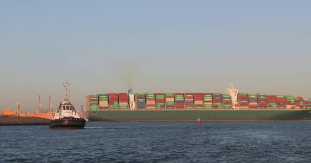 Enorme Recipiente Navio e rebocador em Roterdão — Vídeo de Stock