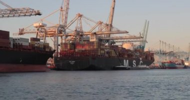 Rotterdam Limanı 'nda konteyner gemileri