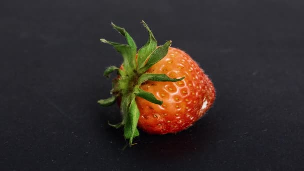 Aardbeien rotten weg in een voorraadkast — Stockvideo