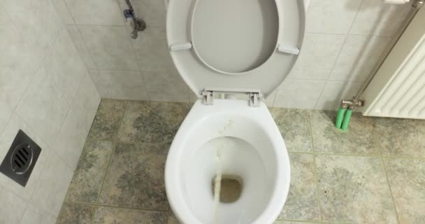 Peeingall über eine Toilette — Stockvideo