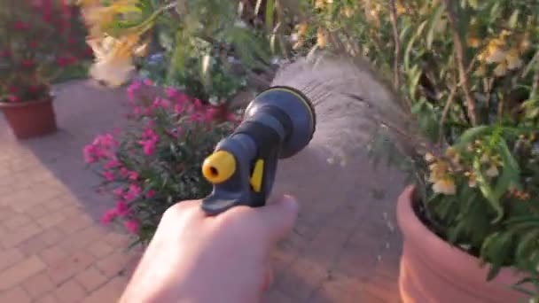 Bloempotten water geven in de tuin — Stockvideo