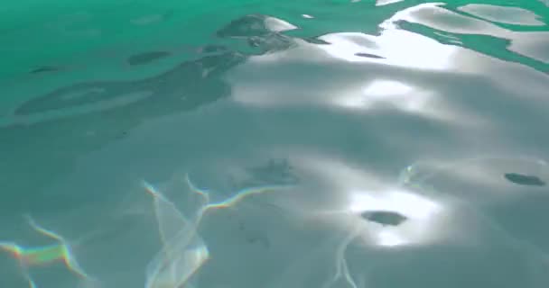 Rizos de piscina en verano reflejo de la luz del sol — Vídeos de Stock