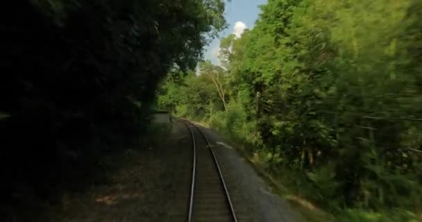 Passeio de trem para uma pequena cidade japonesa, linha ferroviária rural — Vídeo de Stock