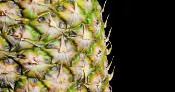 Ananas spinning svart bakgrund — Stockvideo