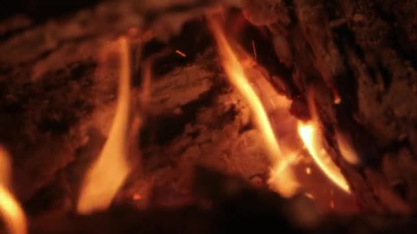 Flames of a fireplace — Stock Video