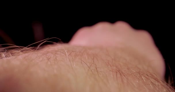 Piel de brazo y lente macro sonda peluda — Vídeo de stock