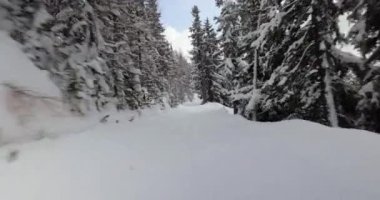 Karlı ormanda yamaçta kayak yapmak.